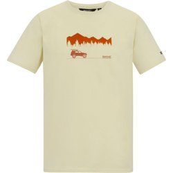 Regatta - T-shirt męski na wiosnę ze sklepu: SPORT-SHOP.pl w kategorii: T-shirty męskie - zdjęcie 6BAF450-D40-9631_205957
