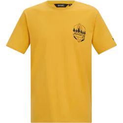 T-shirt męski na wiosnę młodzieżowy Regatta ze sklepu: SPORT-SHOP.pl w kategorii: T-shirty męskie - zdjęcie 6BAF450-D40-9631_205961
