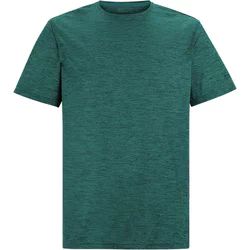 T-shirt męski Regatta ze sklepu: SPORT-SHOP.pl w kategorii: T-shirty męskie - zdjęcie 6BAF450-D40-9631_205994