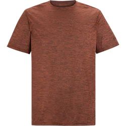T-shirt męski Regatta ze sklepu: SPORT-SHOP.pl w kategorii: T-shirty męskie - zdjęcie 6BAF450-D40-9631_205996