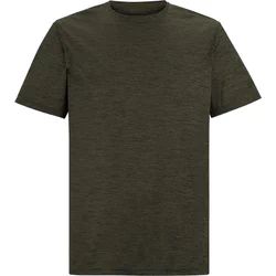 T-shirt męski Regatta ze sklepu: SPORT-SHOP.pl w kategorii: T-shirty męskie - zdjęcie 6BAF450-D40-9631_205997