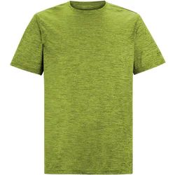 T-shirt męski Regatta ze sklepu: SPORT-SHOP.pl w kategorii: T-shirty męskie - zdjęcie 6BAF450-D40-9631_205998
