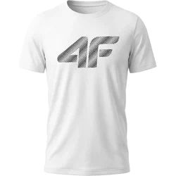 T-shirt męski na wiosnę 4F ze sklepu: SPORT-SHOP.pl w kategorii: T-shirty męskie - zdjęcie 6BAF450-D40-9631_206076