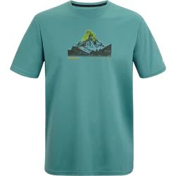 Regatta - T-shirt męski ze sklepu: SPORT-SHOP.pl w kategorii: T-shirty męskie - zdjęcie 6BAF450-D40-9631_206106