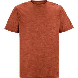 T-shirt męski na wiosnę casual Regatta ze sklepu: SPORT-SHOP.pl w kategorii: T-shirty męskie - zdjęcie 6BAF450-D40-9631_206115