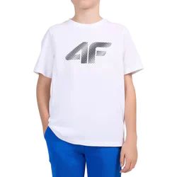 T-shirt chłopięce na lato 4F ze sklepu: SPORT-SHOP.pl w kategorii: T-shirty chłopięce - zdjęcie 6BAF450-D40-9631_206889