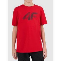 T-shirt chłopięce letni 4F ze sklepu: SPORT-SHOP.pl w kategorii: T-shirty chłopięce - zdjęcie 6BAF450-D40-9631_206941