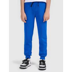 Spodnie chłopięce na jesień 4F ze sklepu: SPORT-SHOP.pl w kategorii: Spodnie chłopięce - zdjęcie 6BAF450-D40-9631_206945