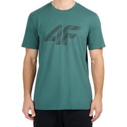 T-shirt męski 4F ze sklepu: SPORT-SHOP.pl w kategorii: T-shirty męskie - zdjęcie 6BAF450-D40-9631_207083