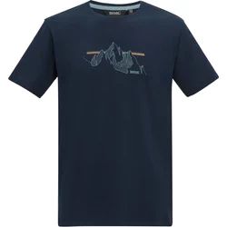 T-shirt męski wiosenny Regatta ze sklepu: SPORT-SHOP.pl w kategorii: T-shirty męskie - zdjęcie 6BAF450-D40-9631_207162