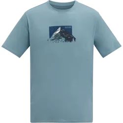 T-shirt męski na wiosnę Regatta ze sklepu: SPORT-SHOP.pl w kategorii: T-shirty męskie - zdjęcie 6BAF450-D40-9631_207170