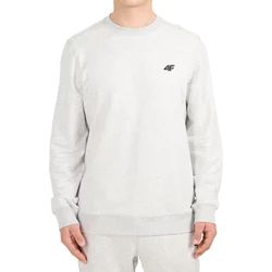 Bluza męska 4F ze sklepu: SPORT-SHOP.pl w kategorii: Bluzy męskie - zdjęcie 6BAF450-D40-9631_207228