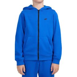 Bluza chłopięca zimowa 4F ze sklepu: SPORT-SHOP.pl w kategorii: Bluzy chłopięce - zdjęcie 6BAF450-D40-9631_207234