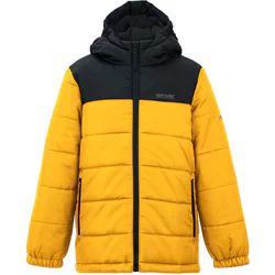 Kurtka chłopięca na zimę Regatta ze sklepu: SPORT-SHOP.pl w kategorii: Kurtki chłopięce - zdjęcie 6BAF450-D40-9631_207365