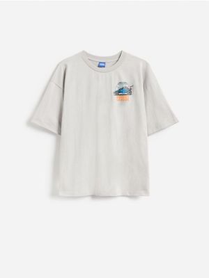 T-shirt chłopięce na lato Reserved ze sklepu: Reserved w kategorii: T-shirty chłopięce - zdjęcie 74CCA4C-3C1-6972_234LQ