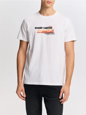 T-shirt męski wiosenny Reserved ze sklepu: Reserved w kategorii: T-shirty męskie - zdjęcie 74CCA4C-3C1-6972_316FP