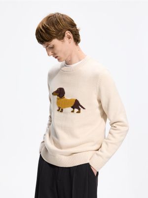 Sweter męski na zimę młodzieżowy Reserved ze sklepu: Reserved w kategorii: Swetry męskie - zdjęcie 74CCA4C-3C1-6972_329JK