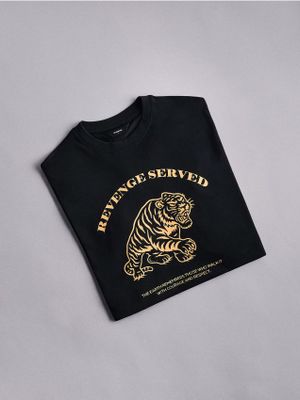 T-shirt męski w stylu młodzieżowym Reserved ze sklepu: Reserved w kategorii: T-shirty męskie - zdjęcie 74CCA4C-3C1-6972_763JM