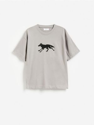 T-shirt męski w stylu młodzieżowym na wiosnę Reserved ze sklepu: Reserved w kategorii: T-shirty męskie - zdjęcie 74CCA4C-3C1-6972_794JM