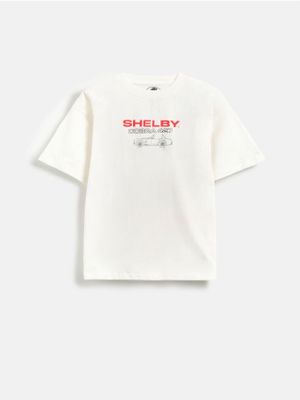 Reserved - T-shirt chłopięce letni ze sklepu: Reserved w kategorii: T-shirty chłopięce - zdjęcie 74CCA4C-3C1-6972_865IX