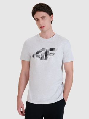 T-shirt męski na wiosnę w sportowym stylu ze sklepu: Sportstylestory.com w kategorii: T-shirty męskie - zdjęcie 76B84B-544-12149_255210