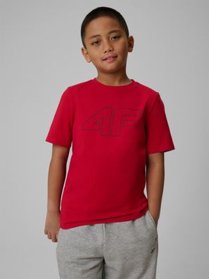 T-shirt chłopięce na lato ze sklepu: Sportstylestory.com w kategorii: T-shirty chłopięce - zdjęcie 76B84B-544-12149_360131