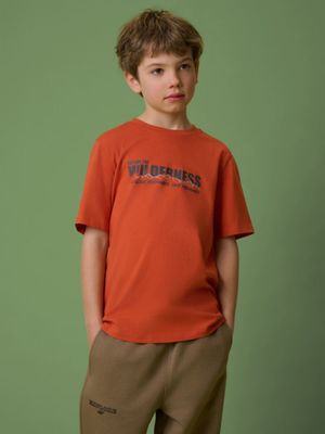 T-shirt chłopięce na lato ze sklepu: Sportstylestory.com w kategorii: T-shirty chłopięce - zdjęcie 76B84B-544-12149_360120