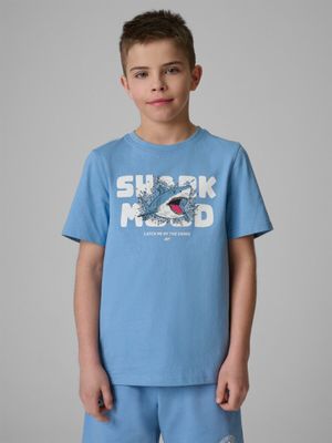 T-shirt chłopięce na lato ze sklepu: Sportstylestory.com w kategorii: T-shirty chłopięce - zdjęcie 76B84B-544-12149_360084