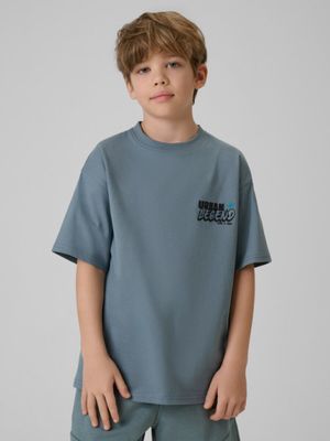 T-shirt chłopięce letni ze sklepu: Sportstylestory.com w kategorii: T-shirty chłopięce - zdjęcie 76B84B-544-12149_360826