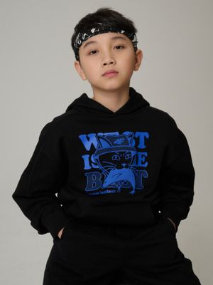 Bluza chłopięca na jesień ze sklepu: Sportstylestory.com w kategorii: Bluzy chłopięce - zdjęcie 76B84B-544-12149_362637