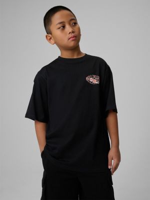 T-shirt chłopięce na lato ze sklepu: Sportstylestory.com w kategorii: T-shirty chłopięce - zdjęcie 76B84B-544-12149_363948