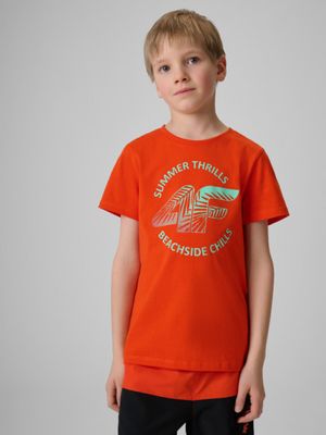 T-shirt chłopięce na lato ze sklepu: Sportstylestory.com w kategorii: T-shirty chłopięce - zdjęcie 76B84B-544-12149_363942