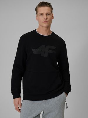 Bluza męska na zimę ze sklepu: Sportstylestory.com w kategorii: Bluzy męskie - zdjęcie 76B84B-544-12149_370249