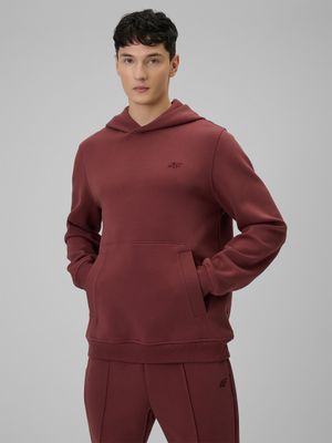 Bluza męska młodzieżowa ze sklepu: Sportstylestory.com w kategorii: Bluzy męskie - zdjęcie 76B84B-544-12149_370267