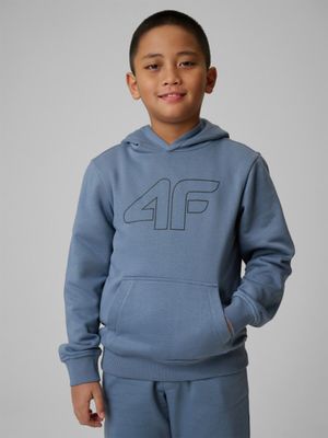 Bluza chłopięca zimowa ze sklepu: Sportstylestory.com w kategorii: Bluzy chłopięce - zdjęcie 76B84B-544-12149_374710