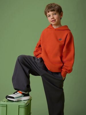 Bluza chłopięca na zimę ze sklepu: Sportstylestory.com w kategorii: Bluzy chłopięce - zdjęcie 76B84B-544-12149_374692