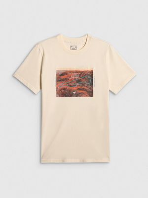 T-shirt męski wiosenny młodzieżowy ze sklepu: Sportstylestory.com w kategorii: T-shirty męskie - zdjęcie 76B84B-544-12149_379679