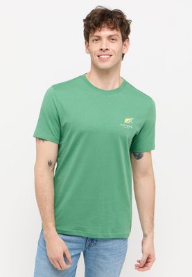 T-shirt męski na wiosnę ze sklepu: YouNeedit.pl w kategorii: T-shirty męskie - zdjęcie 7B609B-BBD-10295_46358