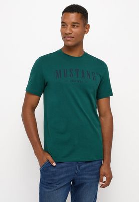 T-shirt męski na wiosnę ze sklepu: YouNeedit.pl w kategorii: T-shirty męskie - zdjęcie 7B609B-BBD-10295_46391