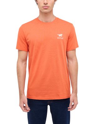T-shirt męski casual ze sklepu: YouNeedit.pl w kategorii: T-shirty męskie - zdjęcie 7B609B-BBD-10295_47727