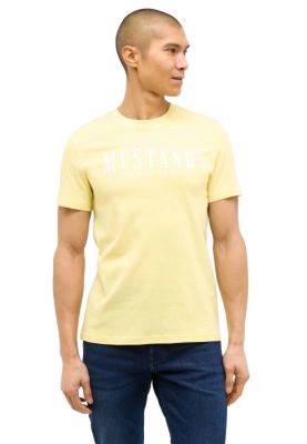 T-shirt męski młodzieżowy ze sklepu: YouNeedit.pl w kategorii: T-shirty męskie - zdjęcie 7B609B-BBD-10295_48411