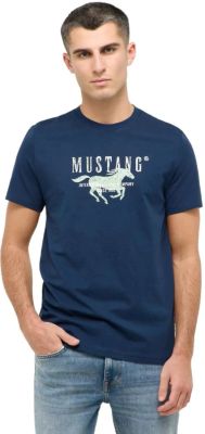 T-shirt męski na wiosnę ze sklepu: YouNeedit.pl w kategorii: T-shirty męskie - zdjęcie 7B609B-BBD-10295_48415