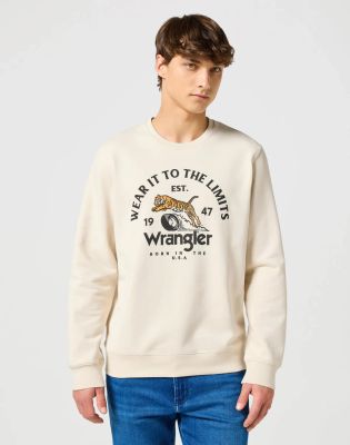Bluza męska na jesień ze sklepu: YouNeedit.pl w kategorii: Bluzy męskie - zdjęcie 7B609B-BBD-10295_48587
