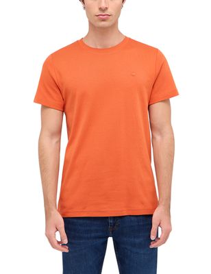 T-shirt męski na wiosnę casual ze sklepu: YouNeedit.pl w kategorii: T-shirty męskie - zdjęcie 7B609B-BBD-10295_48688