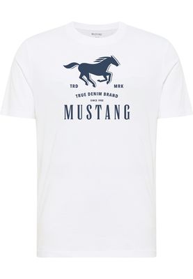 T-shirt męski na wiosnę ze sklepu: YouNeedit.pl w kategorii: T-shirty męskie - zdjęcie 7B609B-BBD-10295_49132