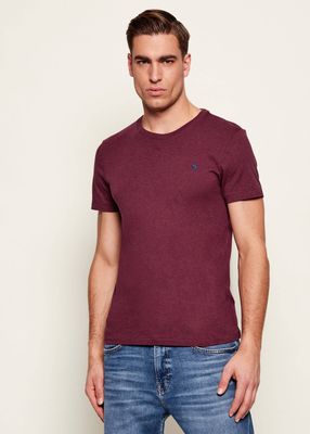 Polo Ralph Lauren - T-shirt męski wiosenny ze sklepu: Gomez Fashion Store w kategorii: T-shirty męskie - zdjęcie 874714-BD9-10338_PR225M000115KF4