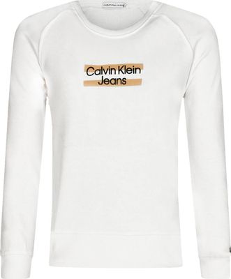 Bluza dziewczęca na wiosnę zimowa Calvin Klein Jeans ze sklepu: Gomez Fashion Store w kategorii: Bluzy dziewczęce