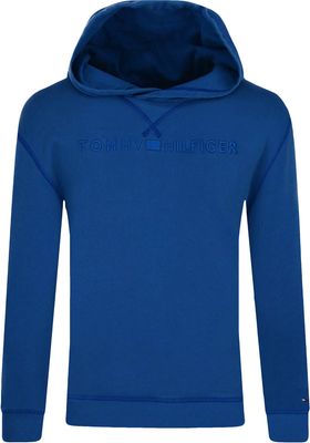 Bluza chłopięca zimowa Tommy Hilfiger ze sklepu: Gomez Fashion Store w kategorii: Bluzy chłopięce