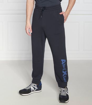 Spodnie męskie sportowe na jesień Armani Exchange ze sklepu: Gomez Fashion Store w kategorii: Spodnie męskie - zdjęcie 874714-BD9-10338_AX232M000048079