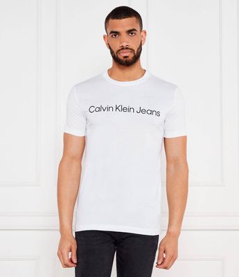 T-shirt męski w stylu młodzieżowym na wiosnę Calvin Klein Jeans ze sklepu: Gomez Fashion Store w kategorii: T-shirty męskie - zdjęcie 874714-BD9-10338_CJ232M000146210